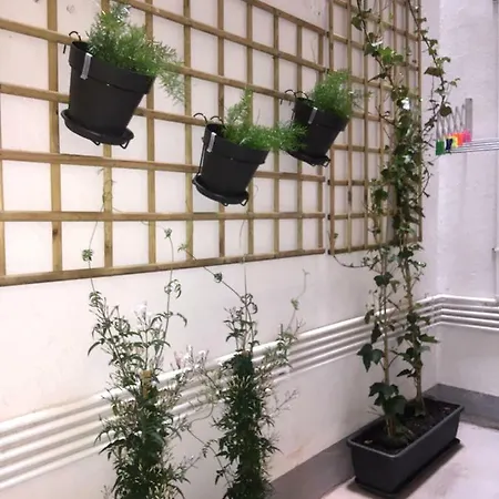 Very 100m From La Kontxa Apartman *