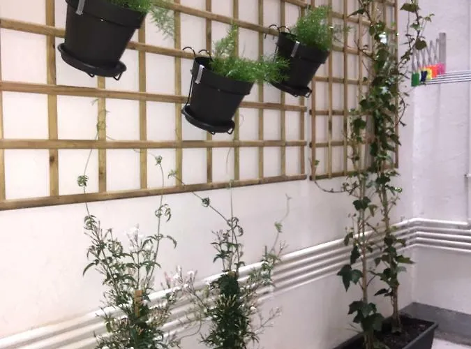 Very 100m From La Kontxa Апартаменты *